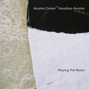 Avishai Cohen, Yonathan Avishai: Playing The Room